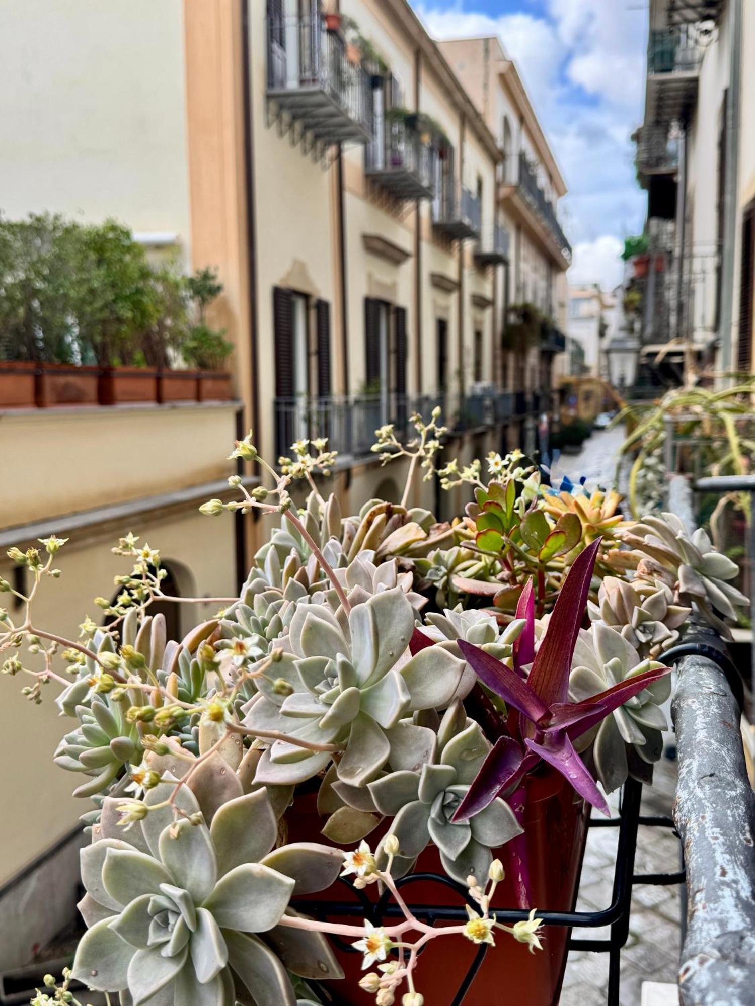 Vetriera Home Palermo Esterno foto